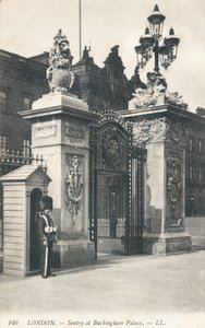Sentinelle au palais de Buckingham - English Photographer