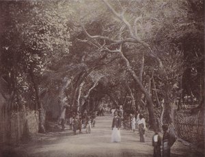 Route de Skinners, Colombo - English Photographer
