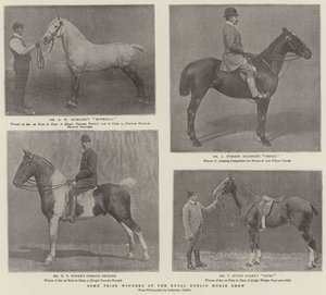 Quelques lauréats au Royal Dublin Horse Show - English Photographer