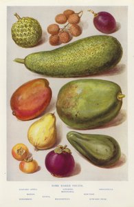Quelques fruits rares - English Photographer