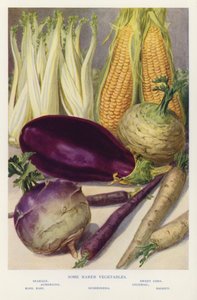 Quelques légumes plus rares (photo) - English Photographer