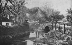 Afrique du Sud: Le Pont, Mowbray - English Photographer