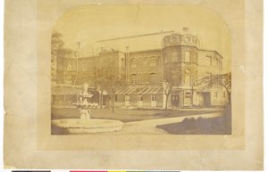 Hôpital St. Thomas, Surrey Gardens - English Photographer