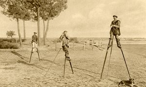 Echasses (photo n/b) - English Photographer