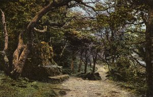 Siège de Pierre, le Glissement de Terrain - English Photographer