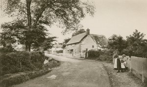 Rue à Uffington - English Photographer