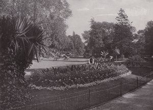 Jardins subtropicaux, parc Battersea - English Photographer