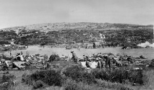 Baie de Suvla, Gallipoli à Chocolate Hill, vers 1915 - English Photographer