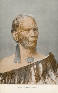 Chef Tangata Maori - English Photographer