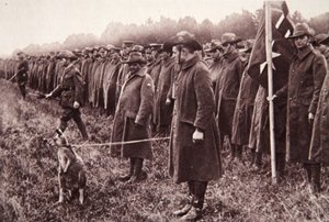 La revue des Anzacs sur Salisbury Plain : une mascotte australienne, illustration de The Illustrated War News, 27 septembre 1916 - English Photographer