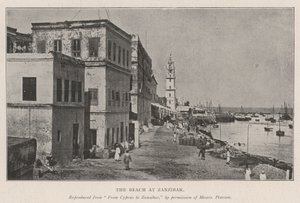 La plage à Zanzibar - English Photographer