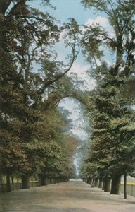 La Grande Allée