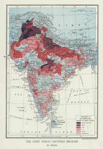 Les principales régions productrices de blé, Inde - English Photographer