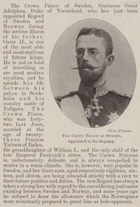 Le prince héritier de Suède, nommé à la régence - English Photographer