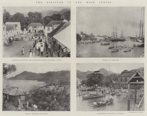 La catastrophe aux Antilles - English Photographer