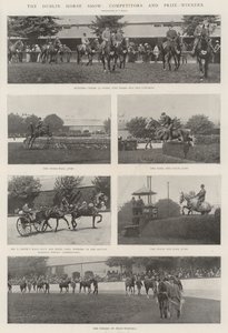 Le salon du cheval de Dublin, concurrents et lauréats - English Photographer