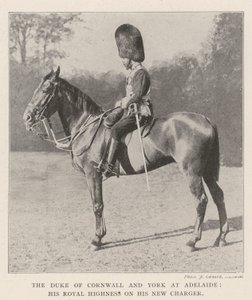 Le duc de Cornouailles et York à Adélaïde, son altesse royale sur son nouveau cheval - English Photographer