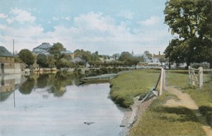 Les Ormes et la Tamise à Abingdon - English Photographer