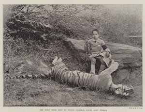 Le premier tigre abattu par le prince Bughwan Singh, âgé de douze ans