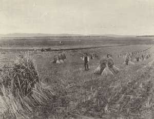 La ferme des collines vertes - English Photographer