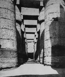 La Salle des Colonnes - English Photographer