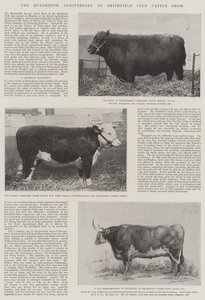 Le centième anniversaire du Smithfield Club Cattle Show