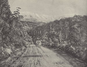 Route de Huon