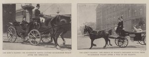 La maladie du roi - English Photographer
