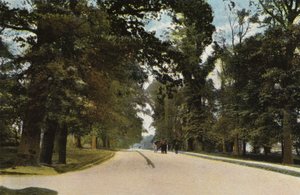 La Longue Avenue, Coventry - English Photographer