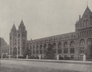 Le Musée d