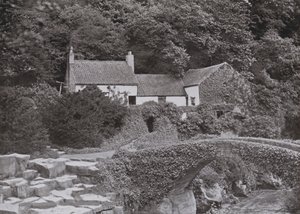 Le vieux moulin, Jesmond Dene - English Photographer