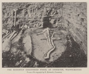 Le fossile récemment découvert à Stockton, Warwickshire - English Photographer