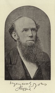 Le révérend J. Clifford, DD - English Photographer