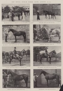 Le Royal Dublin Horse Show, 26-29 août