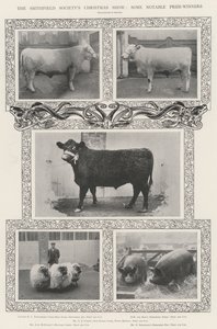 Le Christmas Show de la Smithfield Society, quelques lauréats notables - English Photographer