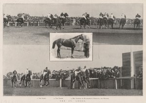 Le St Leger - English Photographer