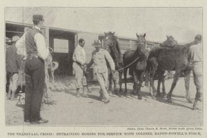 La crise du Transvaal, débarquement des chevaux pour le service avec la force du colonel Baden-Powell - English Photographer