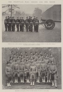 La guerre du Transvaal, troupes pour le front