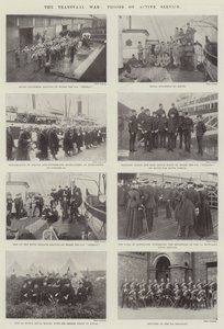 La guerre du Transvaal, troupes en service actif