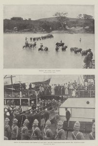La guerre au Transvaal - English Photographer