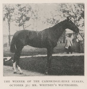 Le gagnant des Cambridgeshire Stakes, 30 octobre, Watershed de M. Whitney