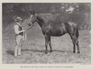 Le vainqueur du Derby, Flying Fox, propriété du duc de Westminster - English Photographer