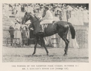 Le gagnant des Kempton Park Stakes, 11 octobre, Epsom Lad de M. T Kincaid (Gomez en selle) - English Photographer