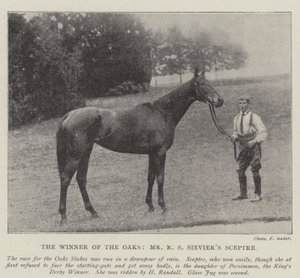 Le vainqueur des Oaks, Sceptre de M. R S Sievier - English Photographer