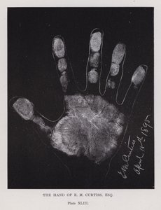 La main de E M Curtiss - English Photographer