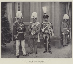 Trois frères royaux - English Photographer