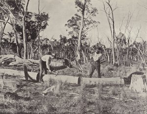 Fendeurs de bois au travail - English Photographer