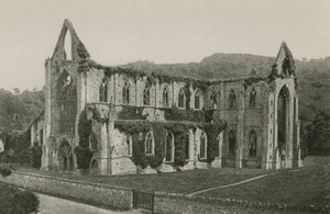 Abbaye de Tintern - English Photographer