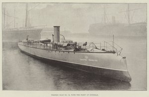 Torpilleur n° 79, avec la flotte à Spithead