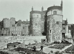 Tour de Londres, Tower Hill : les tours de Beauchamp et Byward, 1895 - English Photographer